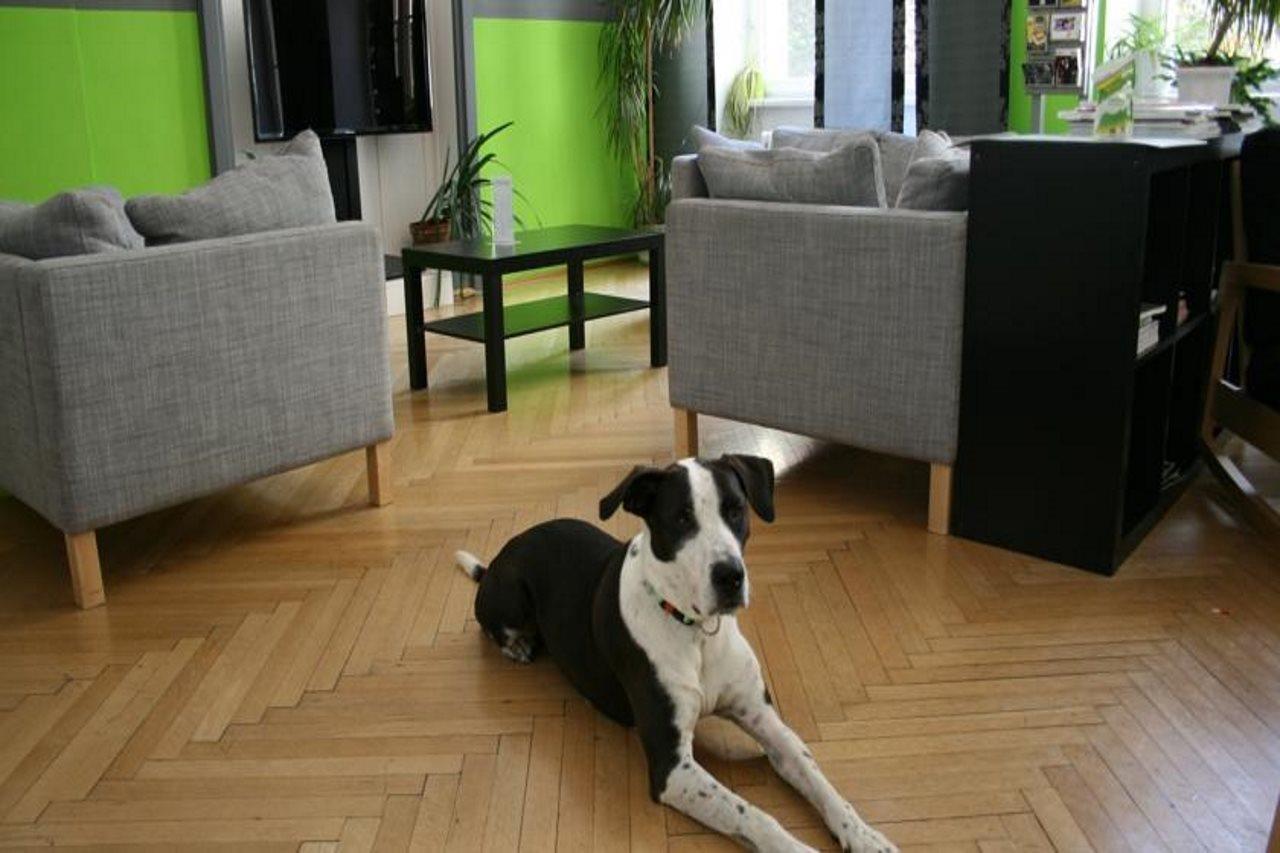 Hostel & Guesthouse Kaiser 23 Wien Eksteriør bilde